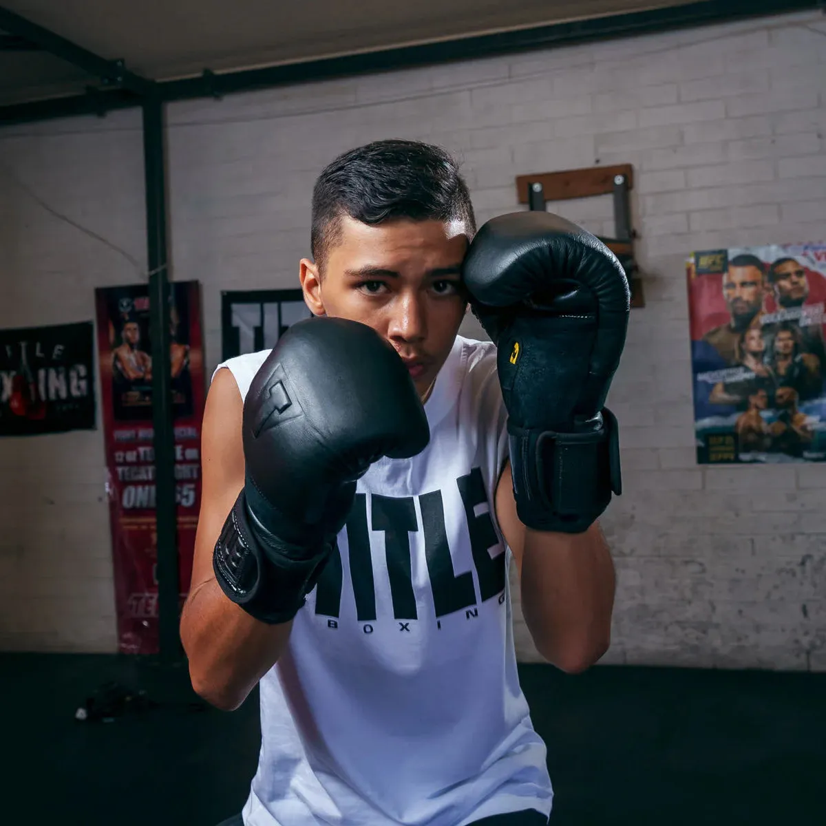 TITLE Black Blitz Boxing Gloves