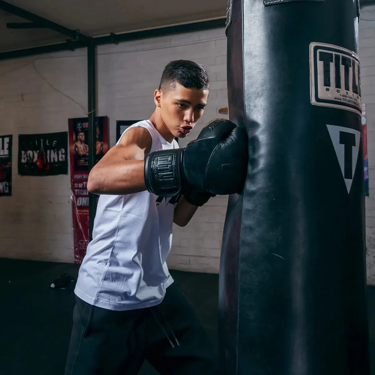 TITLE Black Blitz Boxing Gloves
