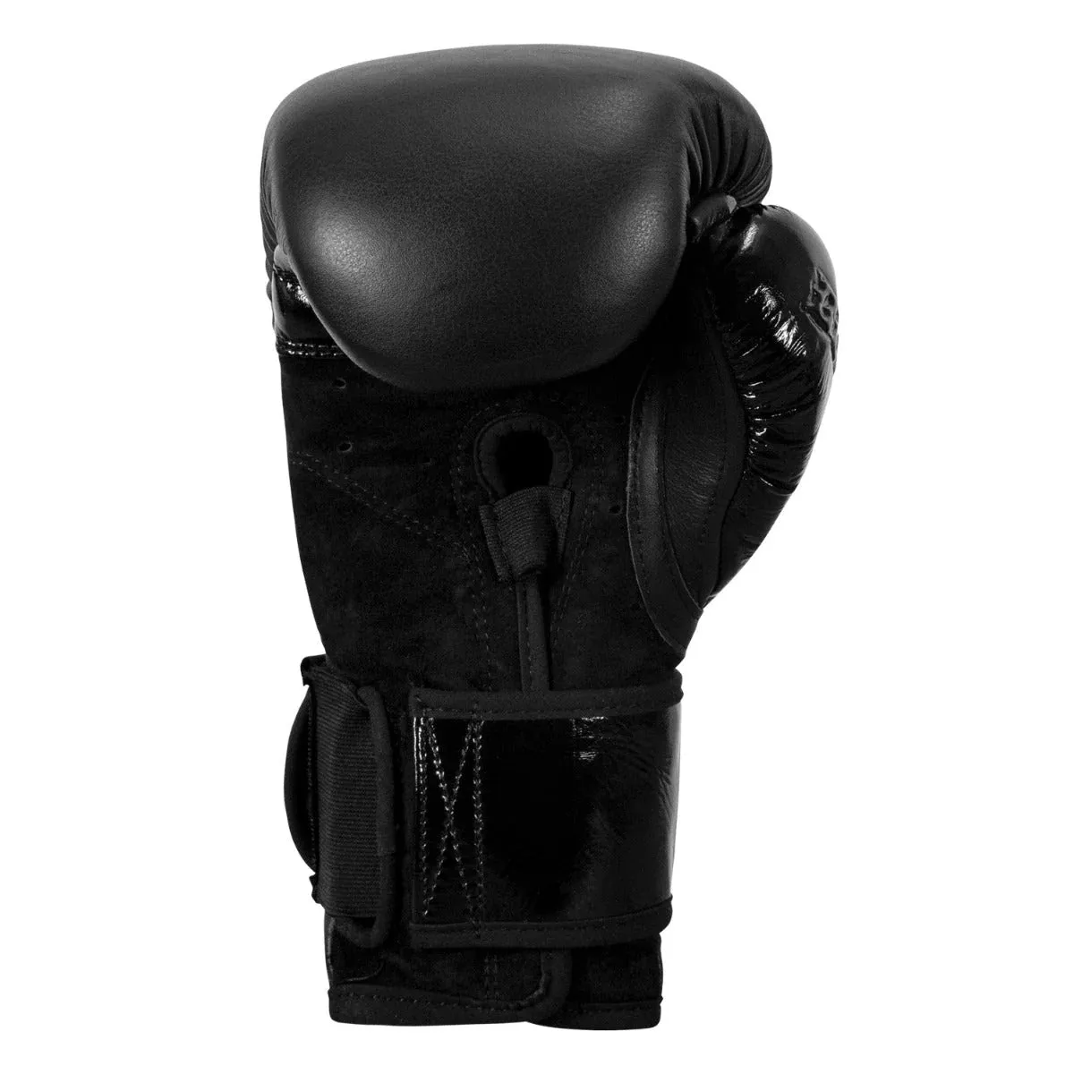 TITLE Black Blitz Boxing Gloves